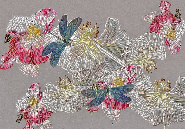 Poppies and dragonflies by Sarah Butcher
