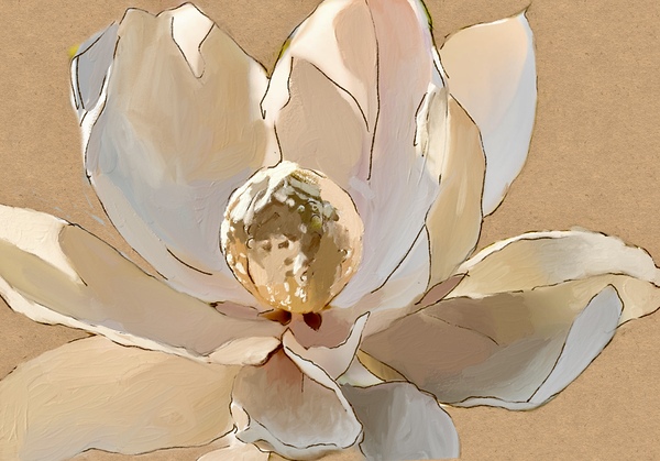 Magnolia Print