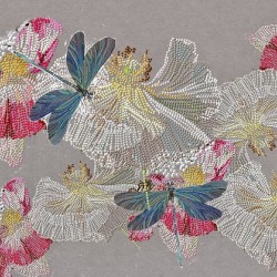 Poppies and dragonflies