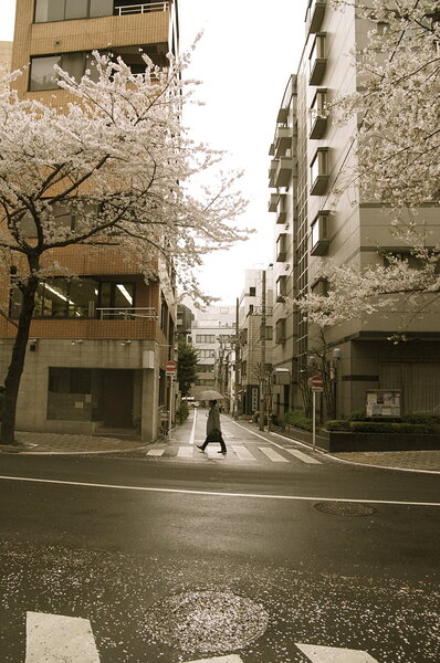 APF Tokyo crosswalk by Rodney