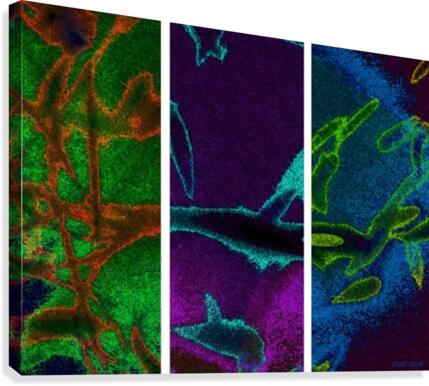 Trifecta Canvas Print
