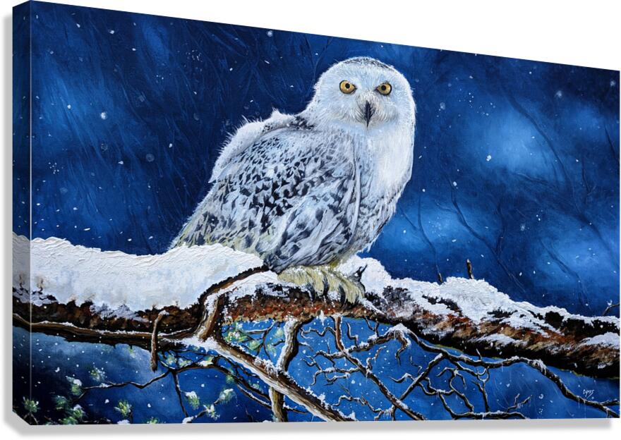 Protection Canvas Print