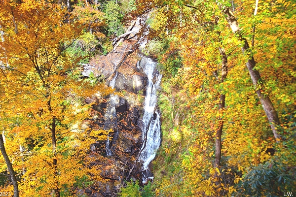 Beechbottom Falls Pickens County South Carolina  Print