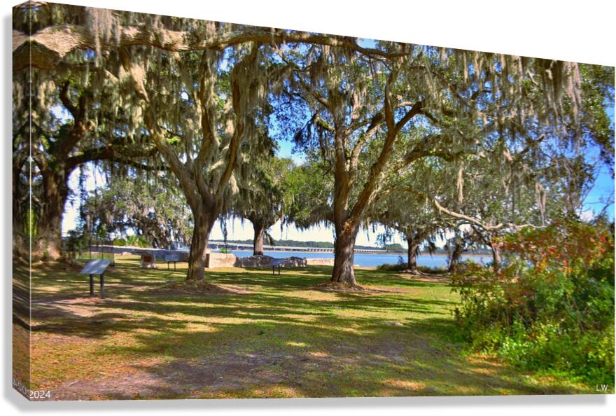 The Oaks At Fort Prince Frederick Port Royal South Carolina  Canvas Print