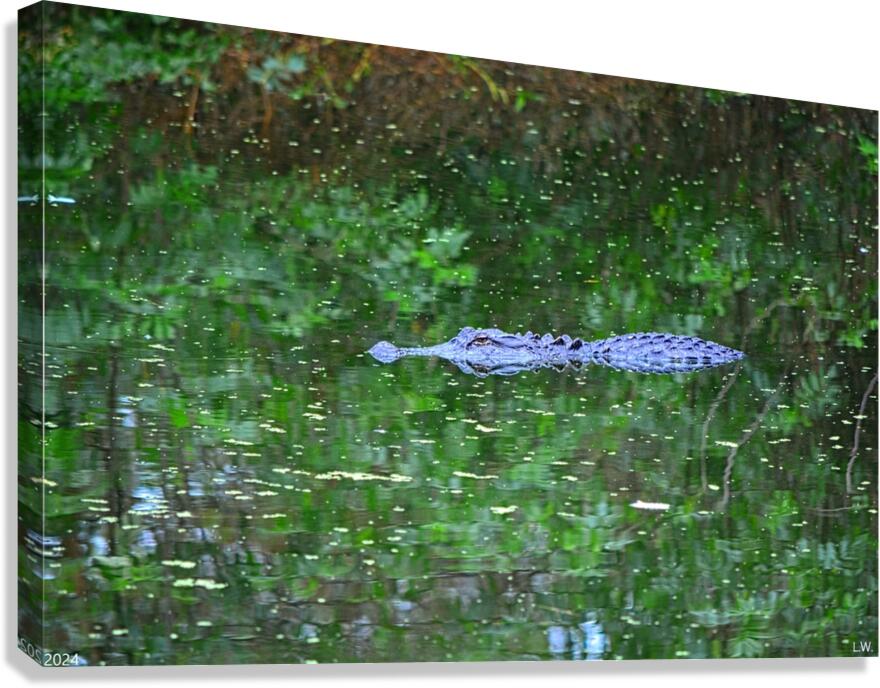  Camouflage Alligator Canvas Print