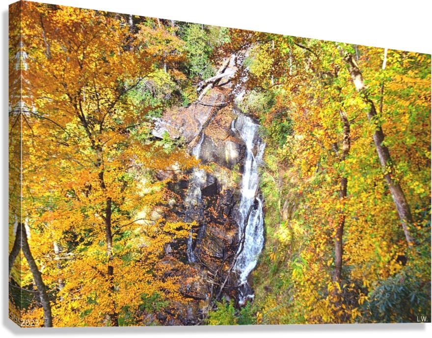 Beechbottom Falls Pickens County South Carolina  Canvas Print