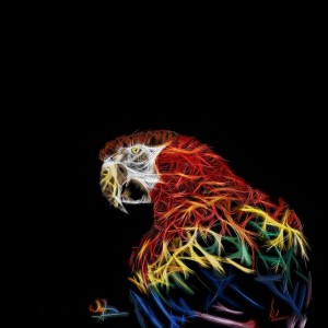 Parrot Abstracto