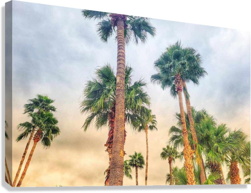 Grandissant Canvas Print