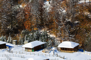 Autumn Behind the Snow