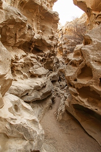 Echo Canyon