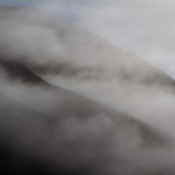 Fog
