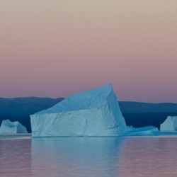 Iceberg