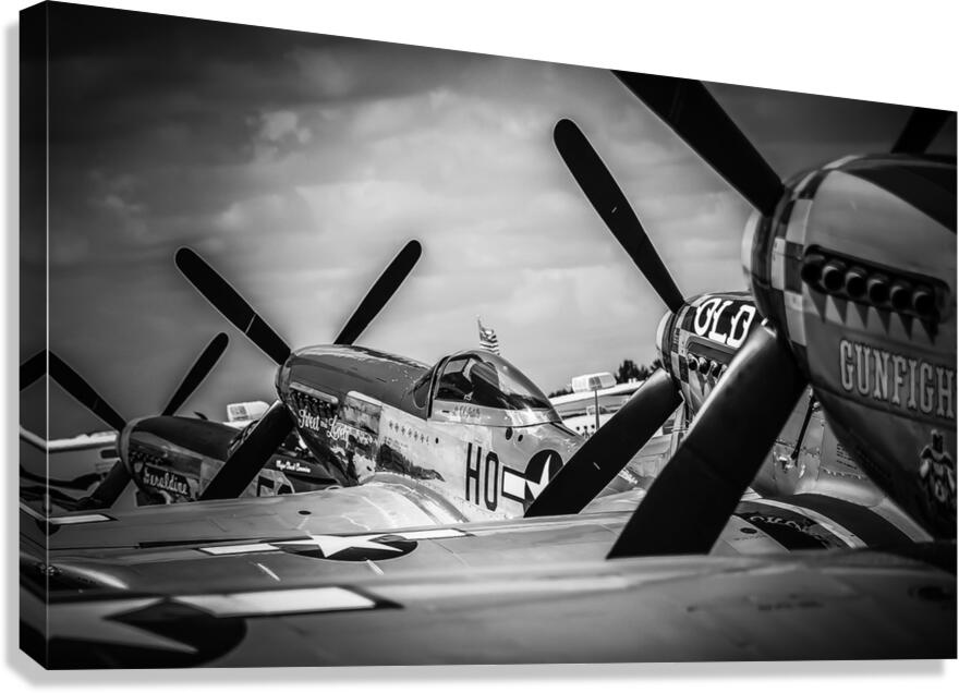 P51 Mustang Series 002 Canvas Print
