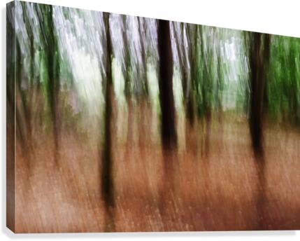 Abstract Forest Canvas Print