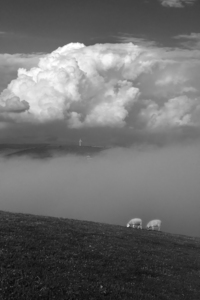 Clouds and sheep - North West England