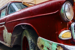 The kitten in the car