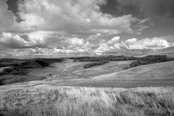 Countryside - Derbyshire - England Print