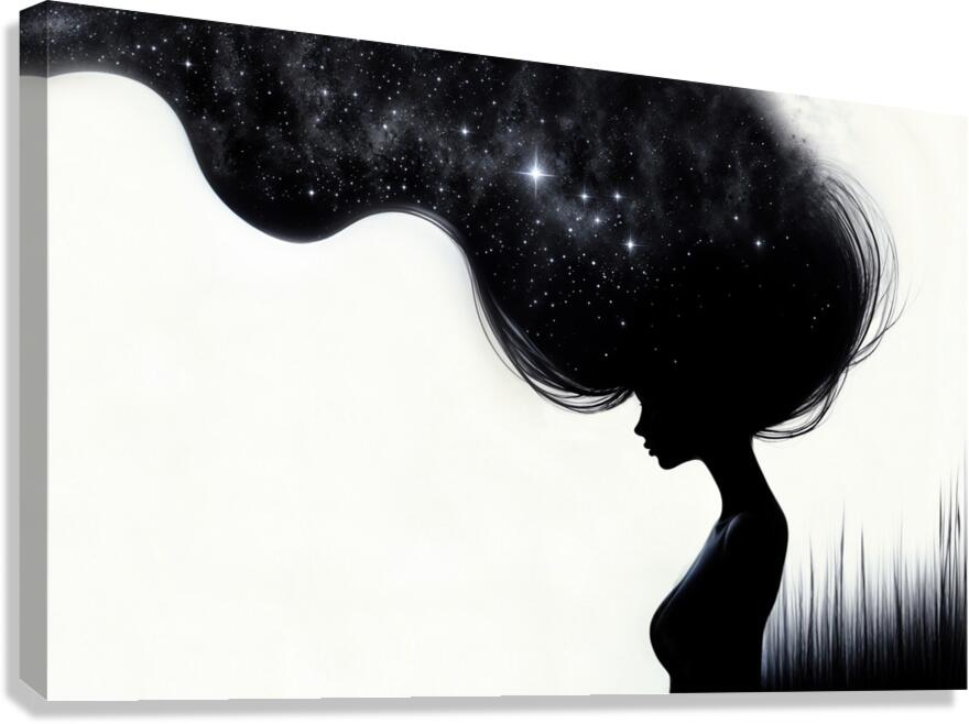 Night sky  Canvas Print
