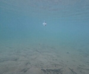 Underwater Pacifier II