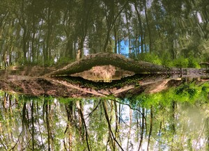 Eye Of Gaia