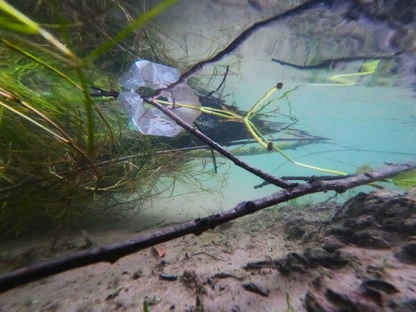 Mysterious Underwater Reflections Print