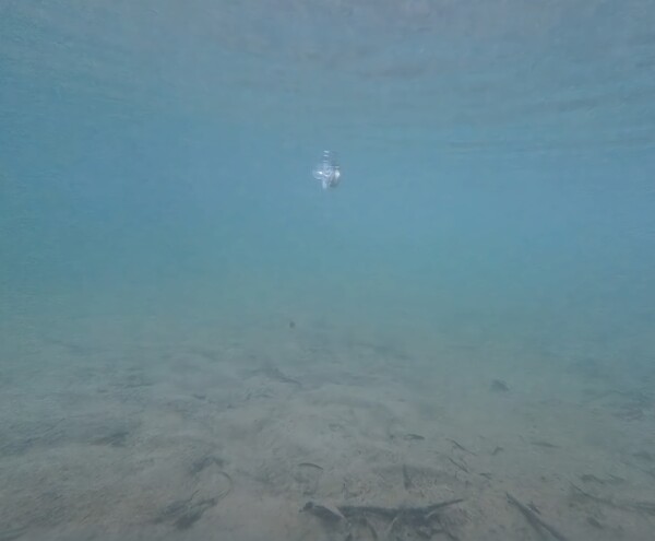 Underwater Pacifier II Print