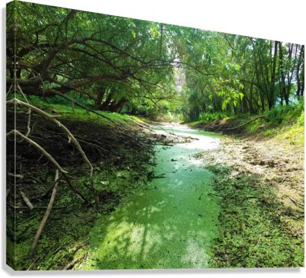 Dry Creek II Impression sur toile