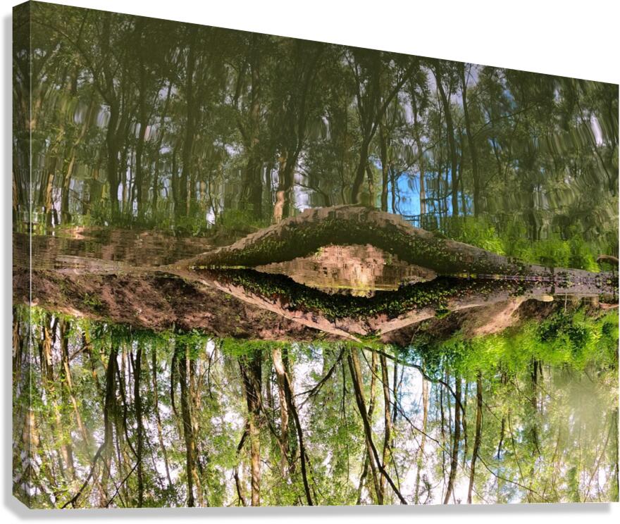 Eye Of Gaia Canvas Print