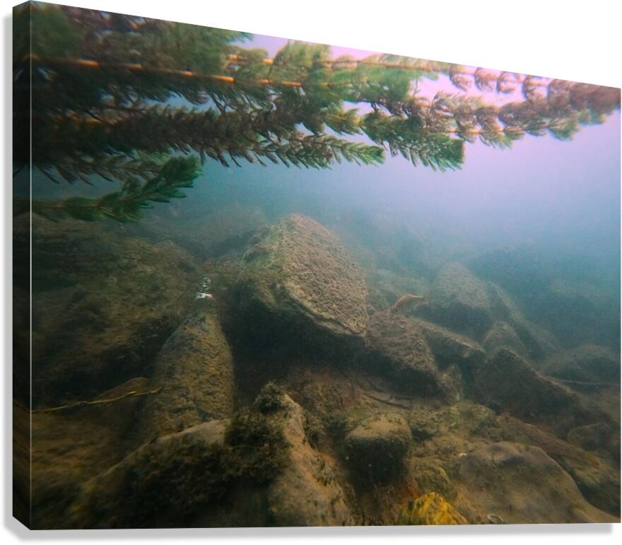 Crouching Whitefish Hidden Bottle Canvas Print