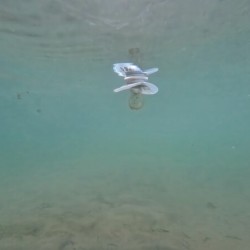 Underwater Pacifier