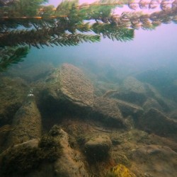 Crouching Whitefish Hidden Bottle