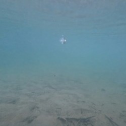 Underwater Pacifier II