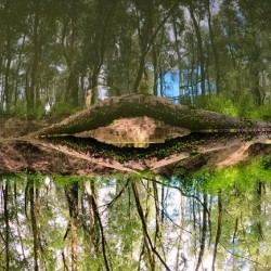 Eye Of Gaia