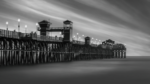 DJ 07410 LRG BW lrg scale 3 00x