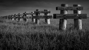 EstuaryPilons LRG BW