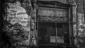 PXL 20230105 141442058 lrg scale 2 00x