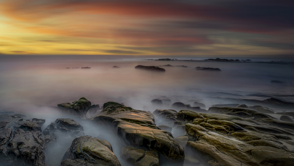 DJ 08649 Print Print