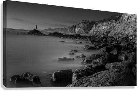 DJ 07137 LRG BW Canvas Print