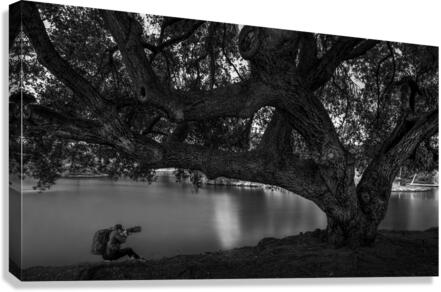 DJ 08142 Canvas Print