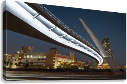 DJ 07727 Canvas Print