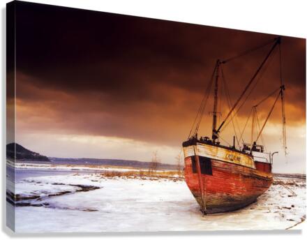 ch00008 Canvas Print