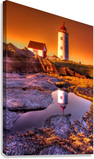 cv00001 Canvas Print