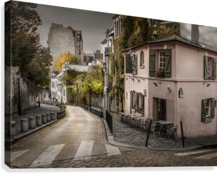 dh00005 Canvas Print