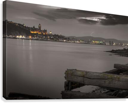 dh00007 Canvas Print