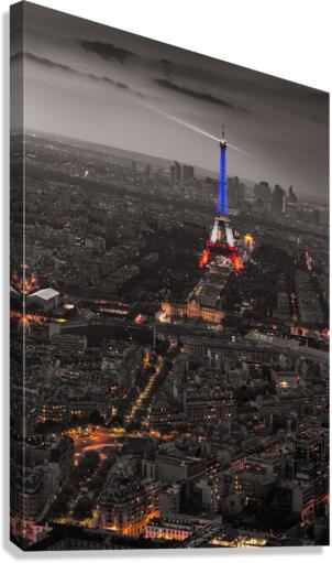 dv00001 Canvas Print