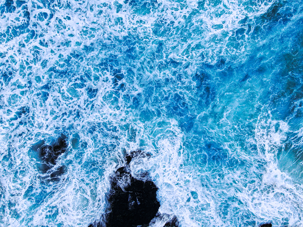 0DD9E6E7 33D0 4CE8 8978 B1C7DFCF7D03 Print