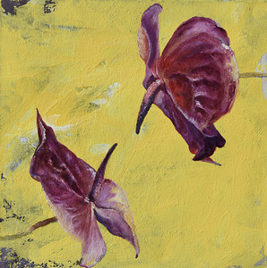 Red Anthurium Original Art Nina Koba by Nina Koba