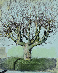 Spring Tree in BC Oil on Canva by Nina Koba