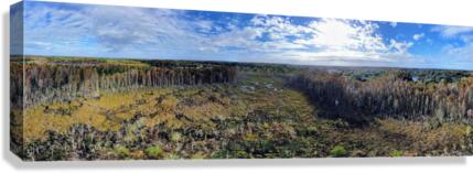 Marsh Panorama Canvas Print