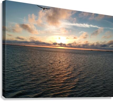 Birdy Canvas Print